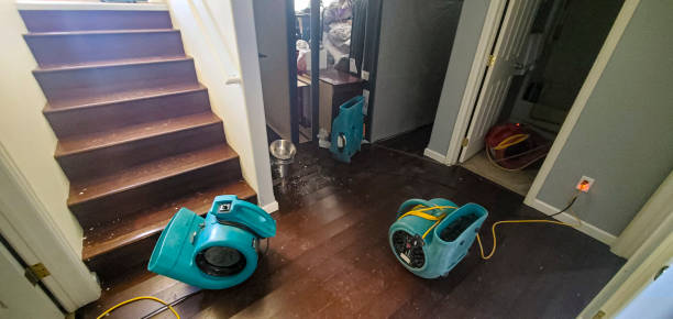 Best Water damage restoration near me  in Coleman, TX