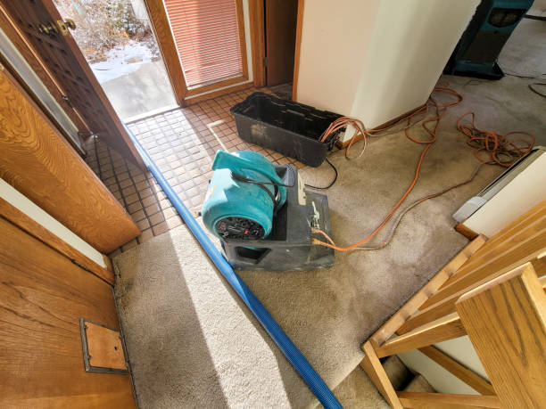 Best Water damage cleanup near me  in Coleman, TX